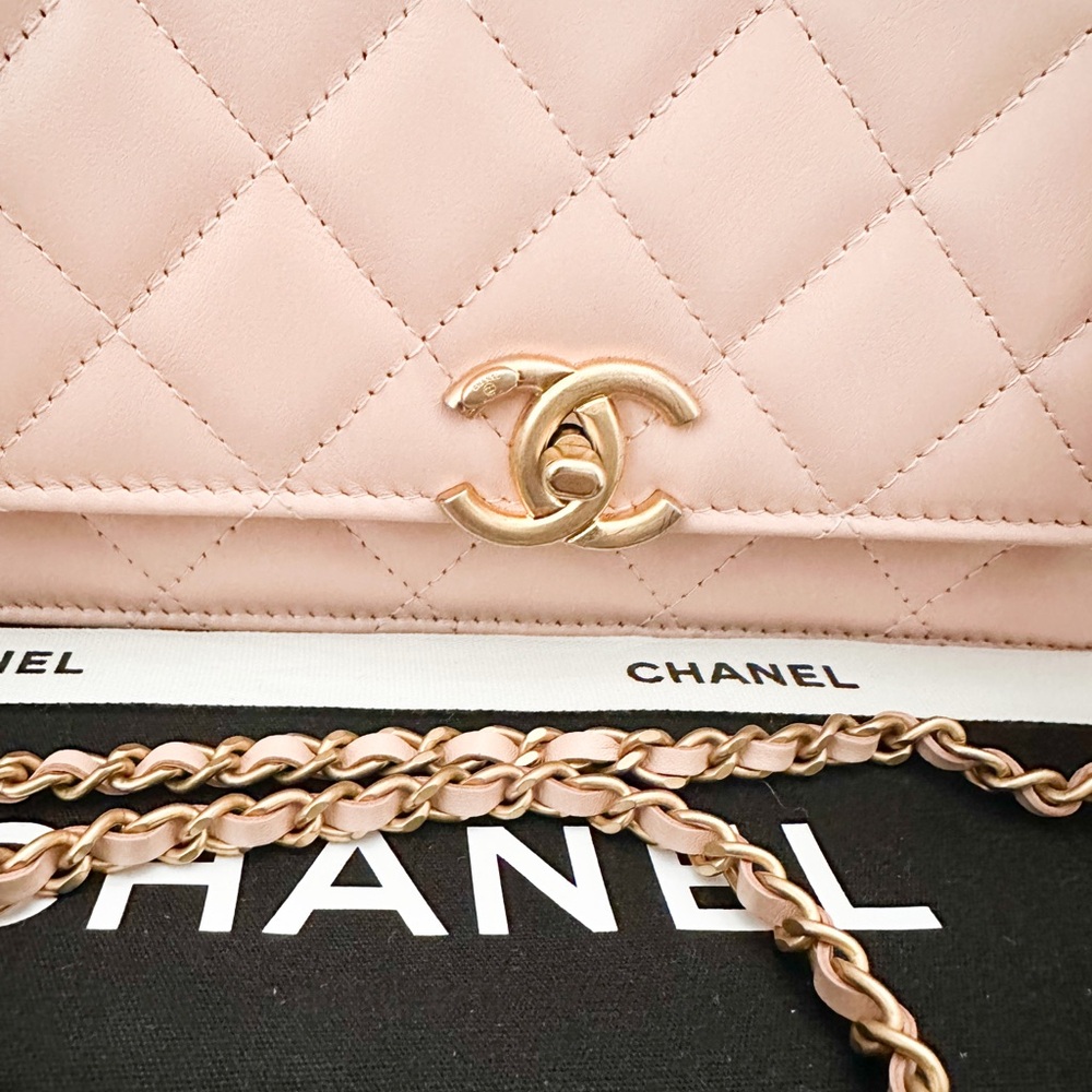 Chanel Calfskin Quilted Perfect Fit Wallet On Chain Crossbody Bag - Picture 12 of 14